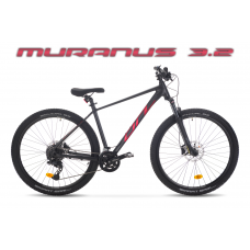 Rower Onilus Muranus 3.2 29